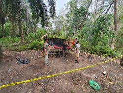 Kronologi Pekerja Tambang Timah di Tempilang Dibunuh Secara Sadis