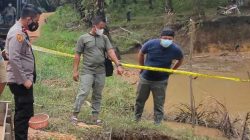 Lubang tambang timah digunakan untuk menimbun korban.