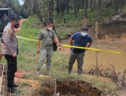 Sadis, Usai Dibunuh Korban Ditimbun di Lobang Tambang Timah