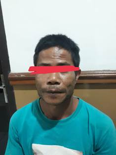 Pelaku pencabulan seorang gadis dibawah umur diamankan Polres Beltim. (Dok: Polda Babel)