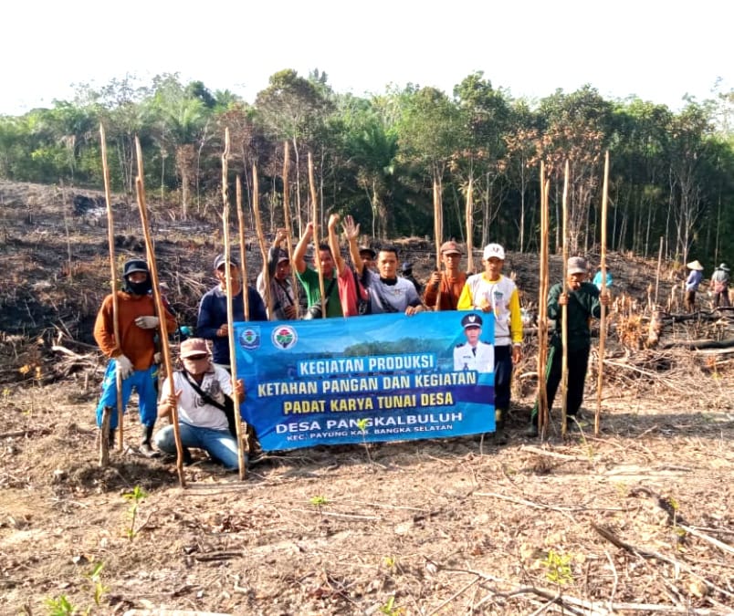 Warga Pangkalbuluh saat buka lahan untuk program ketahanan pangan.