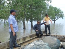 DPRD Babel Wacanakan Penganggaran DED Dermaga Desa Penagan