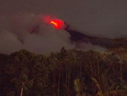 Gunung Merapi Keluarkan Guguran Lava Pijar, 253 Warga Diungsikan