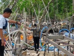 Hutan Bakau Belo Laut Bangka Barat Dihajar Penambang Ilegal, Polisi: Penambang Bekerja Secara Kucing-kucingan