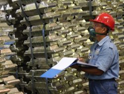 Pastikan Asal Bijih Timah, PT Timah Tbk Rutin Lakukan Eksplorasi di Laut dan Darat