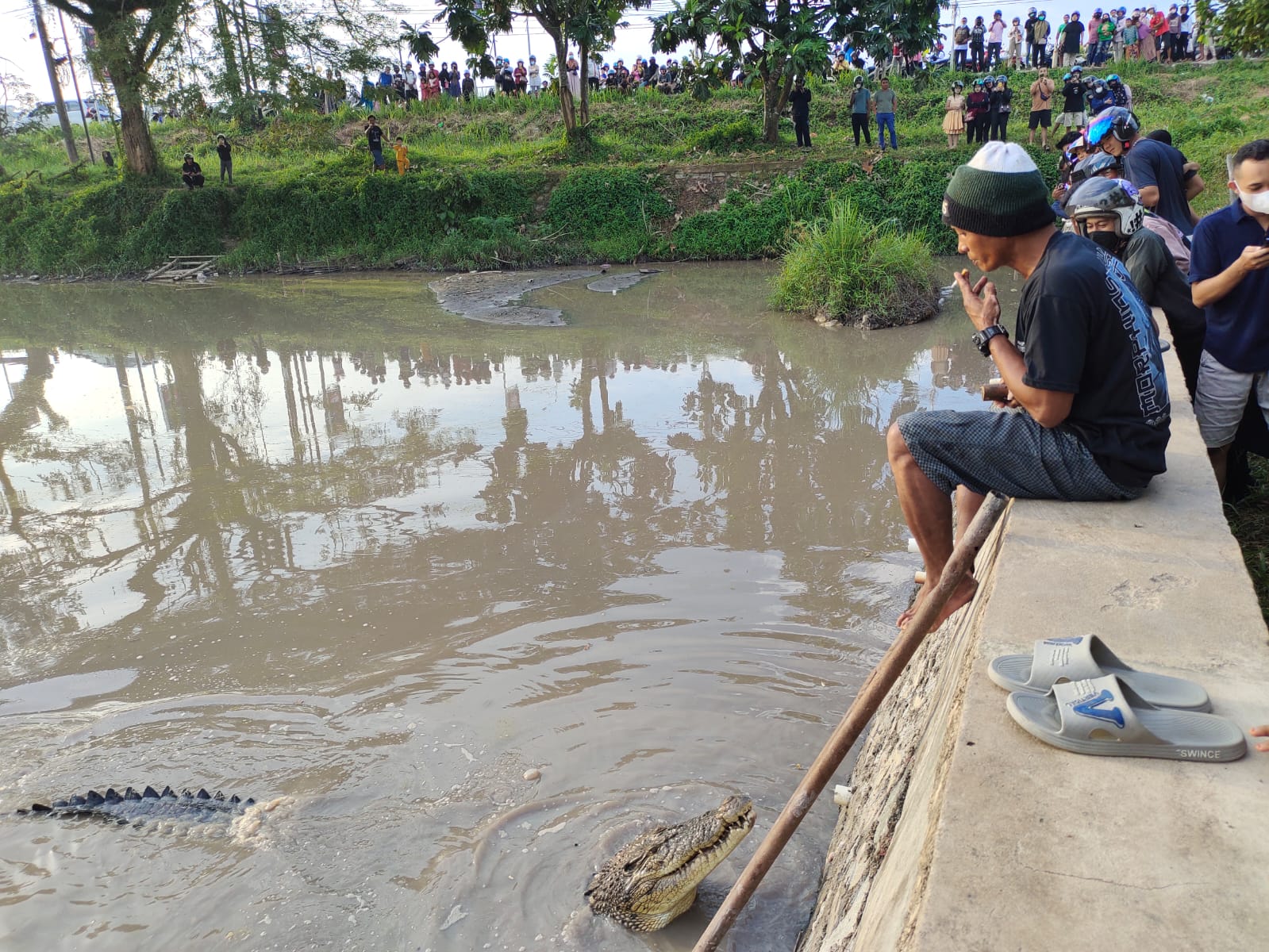 20220518 Jojo Buaya Kolong Kepoh Semabung Pangkalpinang