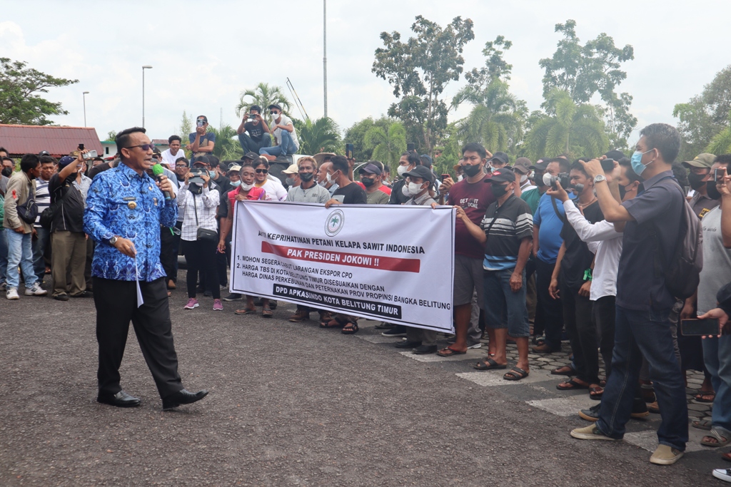 20220518_Ratusan petani kelapa sawit menggelar aksi damai di halaman Kantor Bupati Belitung Timur.