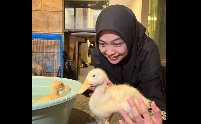 20220510 Ria Ricis cari pengasuh bebek