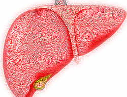 Kenali Definisi Kasus Hepatitis, Ini Penjelasan Kemenkes