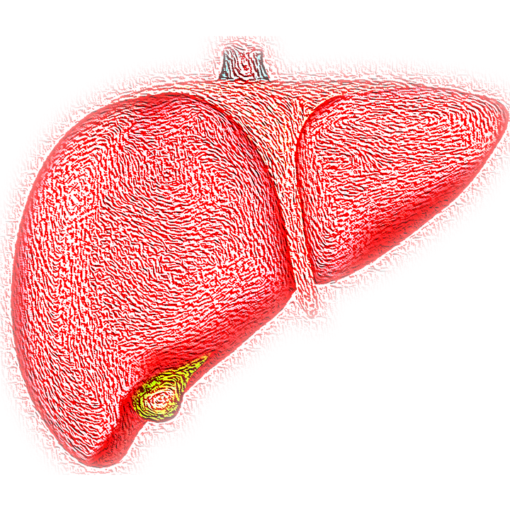 20220524 ILUSTRASI hepatitis. (Pixabay)