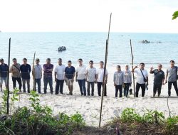 20220609 Kawasan Bangka Island Outdoor (BIO) Jadi Lokasi Penetasan Ribuan Telur Penyu 1