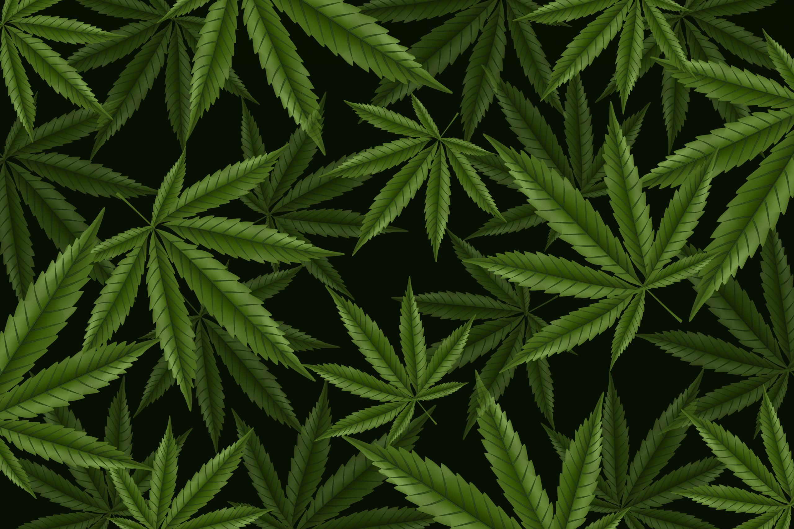 20220612 Ilustrasi Ganja