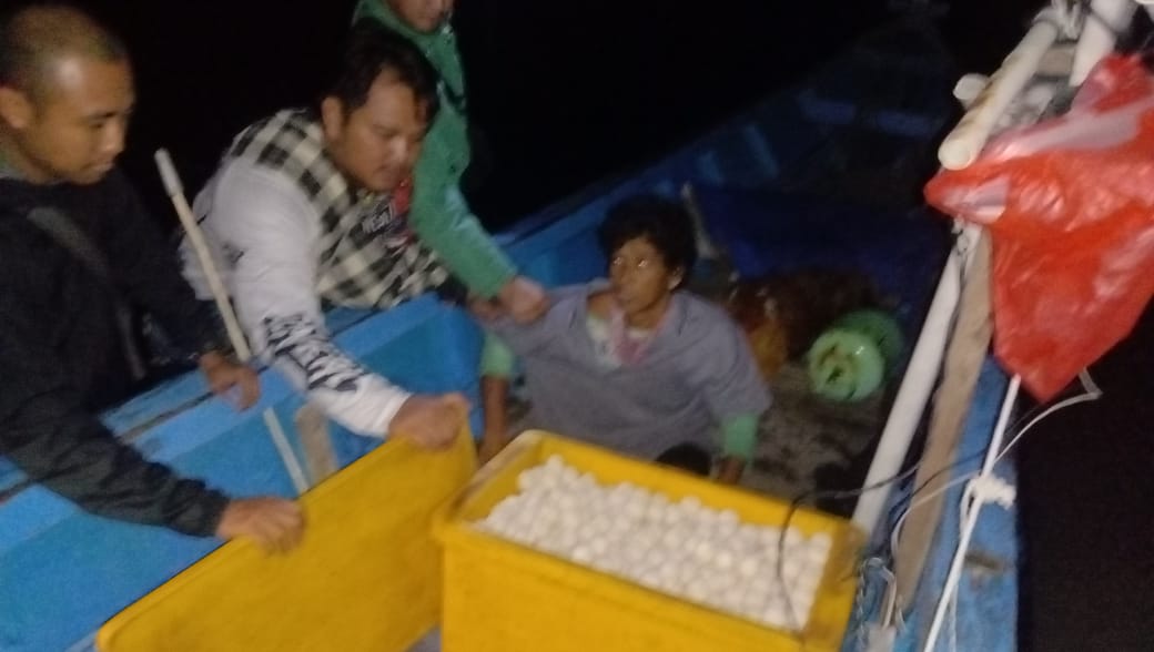 20220608_penyelundupan telur penyu