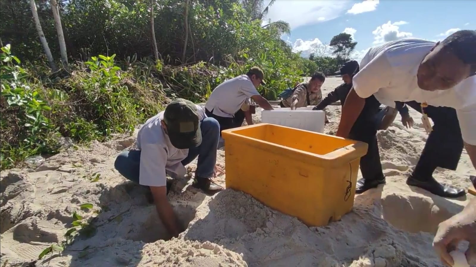 20220609 Kawasan Bangka Island Outdoor (BIO) Jadi Lokasi Penetasan Ribuan Telur Penyu