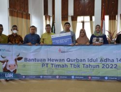 Jelang Idul Adha, PT Timah Tbk Sebar 239 Ekor Hewan Kurban ke Empat Provinsi