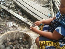 Eksistensi Timong di Tengah Maraknya Kerusakan Mangrove di Belitung Timur