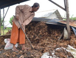 Kampung Kelapa di Kelurahan Jelitik Kembangkan Briket dari Tempurung Kelapa Jadi Sumber Ekonomi Baru