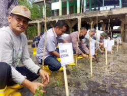 Peran Aktif PT Timah Tbk dalam Pelestarian Lingkungan di Bangka Barat, 6 Kali Penanaman Mangrove Selama 9 Bulan