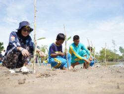 Jaga Kelestarian Mangrove, PT TIMAH Tbk Tanam Mangrove di Desa Batu Belubang