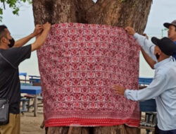 Umurnya Cuma Sepekan, Kain Cual Penghias Pohon di Pantai Pasir Padi Hilang