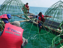 Menjaga Keseimbangan Ekosistem Laut, Tahun Ini PT Timah Tbk 100 Persen Realisasikan Rencana Reklamasi Laut
