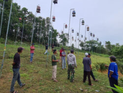 Puluhan Kung Mania Dari Berbagai Daerah di Bangka Ikuti Kontes Kung Mania Babel 2022