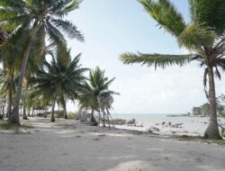 PT Timah Tbk Bantu Bangun Fasilitas untuk Pengunjung, Pesona Pantai Pulau Tiga Makin Memukau