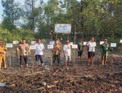 PT Timah Tbk Bersama FPKL Desa Pangke Tanam 1000 Mangrove Saat Peringati Hari Lingkungan Hidup Sedunia 2023