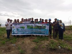 PT Timah Tbk Kembali Tanam Mangrove di Pesisir Pantai Teluk Rubiah Bangka Barat