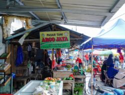 Mendukung Kemandirian Petani, PT Timah Tbk Bantu Modal Petani Lewat Program PUMK 