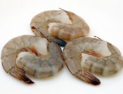 Bisnis Ekspor Udang ke Tiongkok Semakin Terbuka Lebar, Wujud Semangat Blue Economy