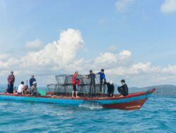 PT Timah Tbk Bersama Kelompok Nelayan Ridho Ilahi Bersatu Tenggelamkan Atraktor Cumi di Laut Rebo, Nelayan Berharap Hasil Tangkapan Meningkat