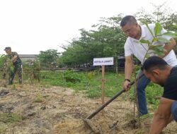 PT Timah Tbk Bersama Kodim 0431 Bangka Barat Tanam Mangrove dan Pohon Pucuk Merah di Pantai Teluk Rubiah