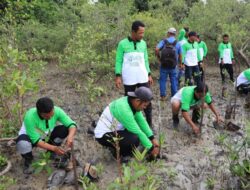 Aksi Nyata PT Timah Tbk Tanam 12 Ribu Mangrove di Pesisir Pantai di Kundur demi Jaga Ekosistem Pesisir dan Cegah Abrasi