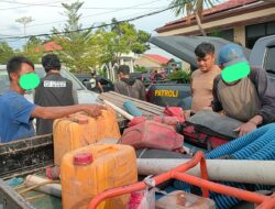 5 Orang Ditangkap Polisi Nambang Timah di Kebun Sawit PT GSBL