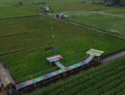 Yuk Intip! Desa Tebing Bangka Barat Punya Potensi Kekayaan Alam Melimpah