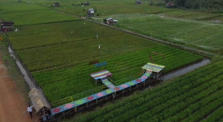Sawah di Desa Tebing, Kecamatan Kelapa, Bangka Barat. (Ist)