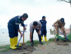 Ribuan Mangrove Berhasil Ditanam di Kampung Iklim Teluk Rubiyah Bangka Barat di Awal Tahun 2024