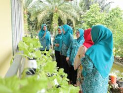 Safriati Safrizal Lihat Langsung Kondisi Dasawisma Teratai Lubuk Kelik: Harap Kekompakan Terus Dijaga