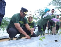 PJ Gubernur Safrizal Beri Contoh Langsung Semangat Menanam, Maksimalkan Lahan Kosong di Rumah Dinas