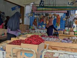 Bantu Pelaku UMKM, PT Timah Perbanyak Mitra Binaan yang Benar-benar Serius Ingin Kembangkan Bisnisnya