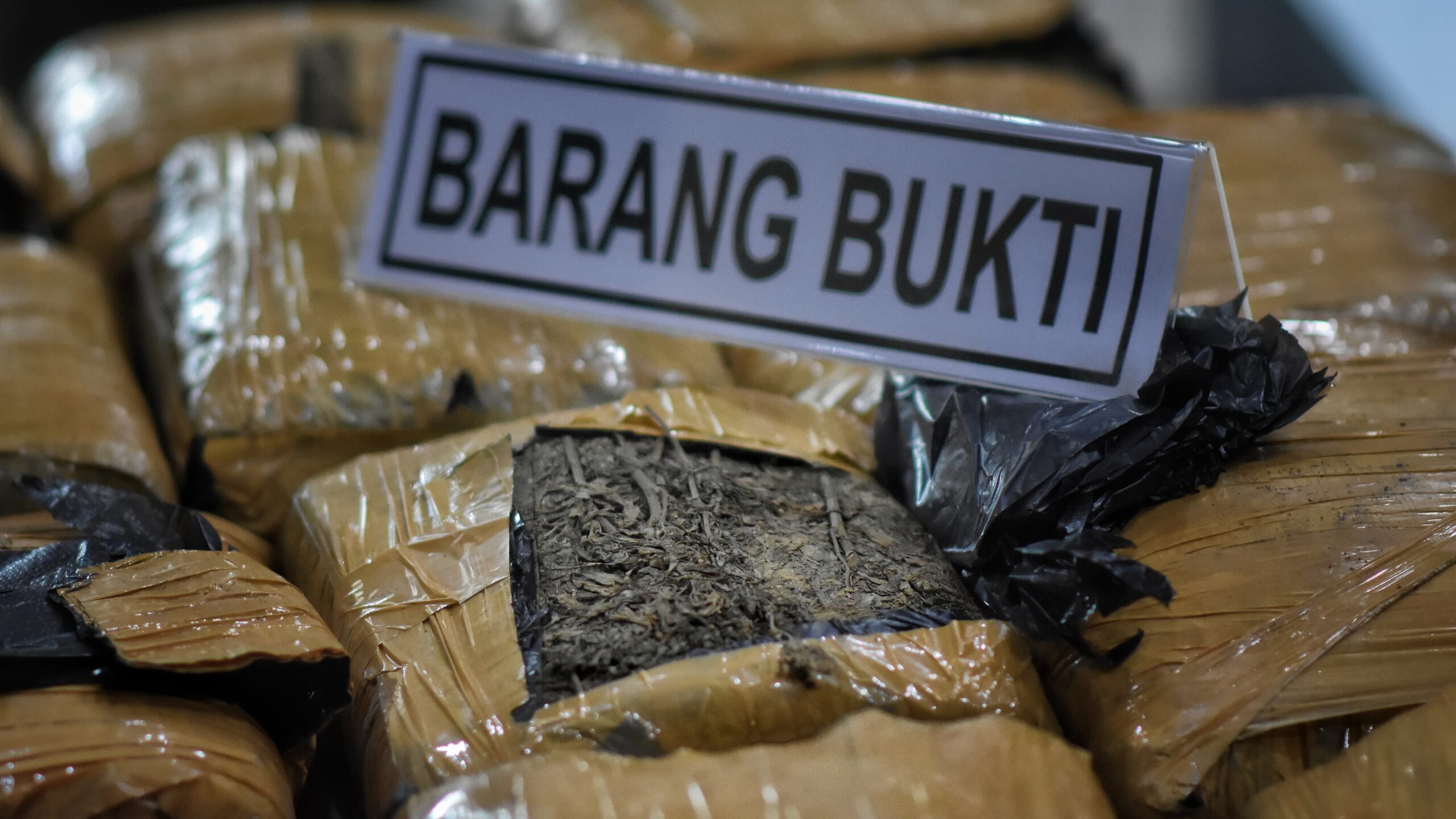 Barang bukti 24 Kilogram Ganja kering diamankan Tim Gabungan.