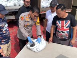 Dua Warga Teluk Limau Ditangkap Polisi, Diduga Selundupkan 273 Karung Pasir Timah