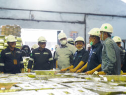 PT Timah Diharapkan Bisa Kembali ke Masa Kejayaan, Kementrian BUMN Dorong Tetap Fokus dalam Bekerja