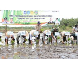 Babel Akan Terima Bantuan Mesin Pertanian Senilai Rp200 Miliar, Pj Gubernur Safrizal dan Forkopimda Tanam Padi di Desa Kimak