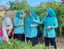 Keseruan Safriati Safrizal Berbagi dan Panen Bersama di UPTD-PSBLH Desa Selinsing