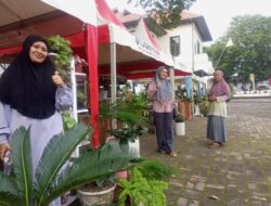 Masih Berlangsung, Pecinta Bonsai Yuk Datangi Bangka Bonsai Fest 2024, Manjakan Mata dengan Tanaman Hias Babel