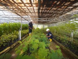 Pengelolaan Hutan Kehati PT Timah Tbk, Puluhan Flora dan Fauna Jadi Sarana Edukasi dan Rekreasi