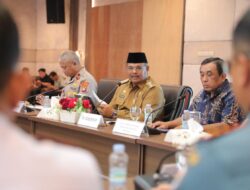 Pj Gubernur Safrizal Dukung Penuh Petani Pisang Cavendish di Babel, Sebut Sektor Perkebunan Punya Prospek yang Bagus