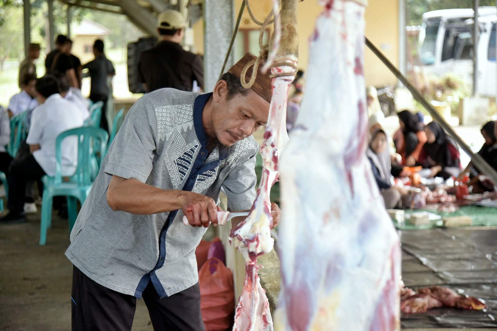 Foto : Panitia kurban Pemkab Babar membersikan daging sapi usai dikurban di halaman parkir barat Kantor Bupati Bangka Barat, pada Rabu (19/6/2024) pagi. (Dok/ Diskominfo Babar)